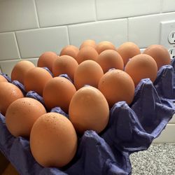 Free Range Organic Eggs