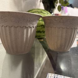 Two Plant Pots 