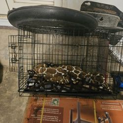 Small Dog Cage