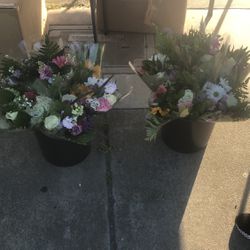 Mother’s Day Gifts Bunches $20 Each Can Be Lowered 