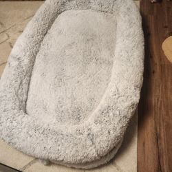 Human Dog Bed