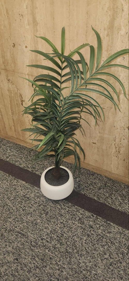 artificial palm plant in a white pot, l