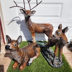 🦌 Deers   