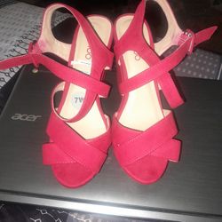  Red Wedges 