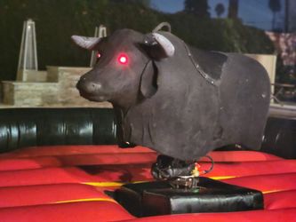 Tacos Photo Booths And Bulls