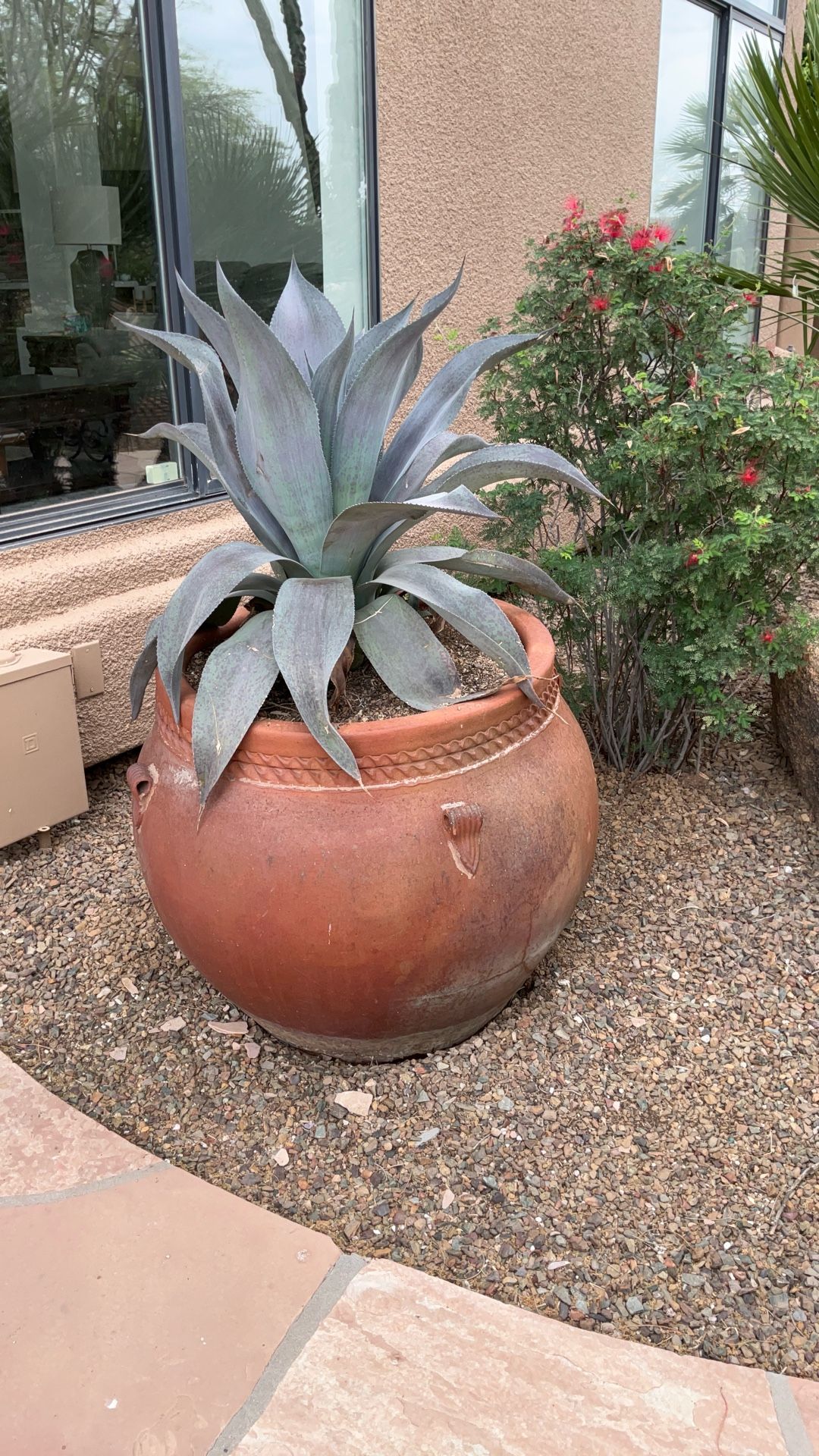 Beautiful Pots With Different Plants