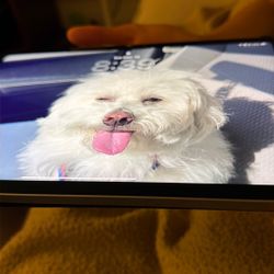 IPad Air 4th Gen Cracked Screen