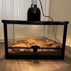 Glass Reptile Terrarium with Front Opening Door and Mesh Top