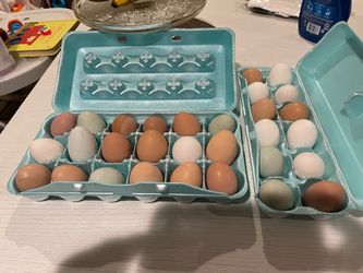 Fresh Eggs