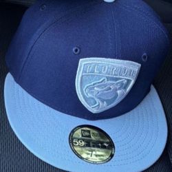Florida panthers Fitted Hat