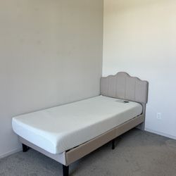 NEED GONE Twin Bed + Mattress