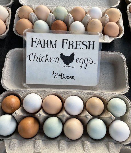 Fresh Organic Colorful Chicken Eggs
