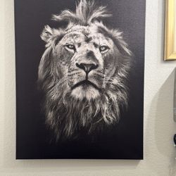 Lion Canvas