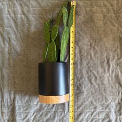 18.5” Fake Cactus Plant 