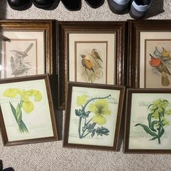 framed art sets birds and flowers 