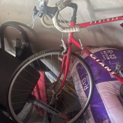 Giant Perigee bicycle 94 Ish