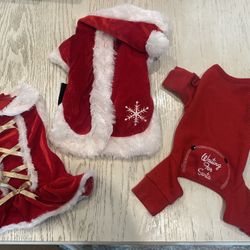 🎅 Small Dog Christmas Outfits – Set of 3! 🐶❤️