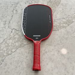 🆕 Alibaba Clone: Joola Agassi Pro 16MM Pickleball Paddle
