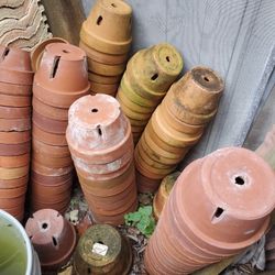 Orchid clay pots/regular pots 2.5" up to 6.5"  2 to 8 dollars each.. Bulk deal for better prices