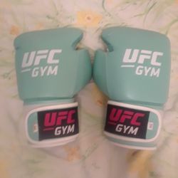 Boxing / UFC 16 Oz. Boxing Gloves In Like New Shape
