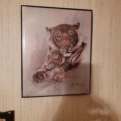 Ruane Manning Pictures 