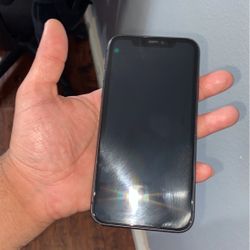iPhone 11 Best Offer