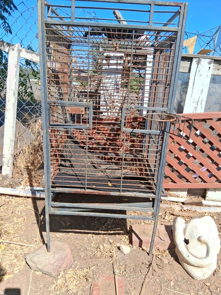 Parrot Cage