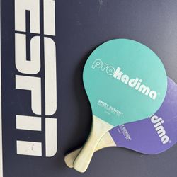 Ping Pong Table