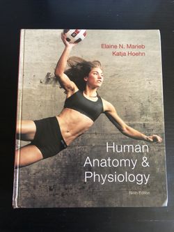 Human Anatomy & physiology