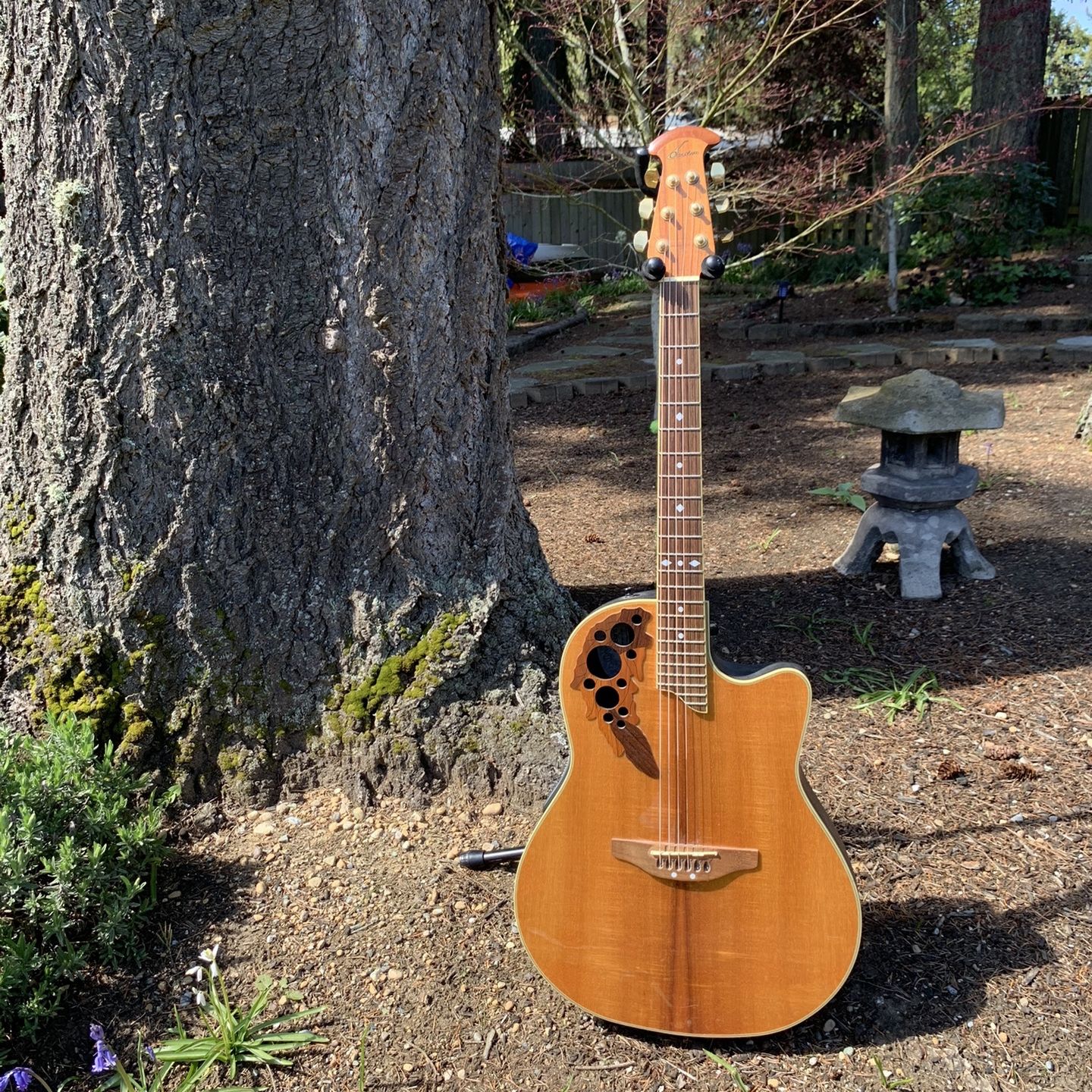 Ovation Celebrity CS-347 Koa