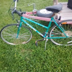 Raleigh Eclipse Bicycle 