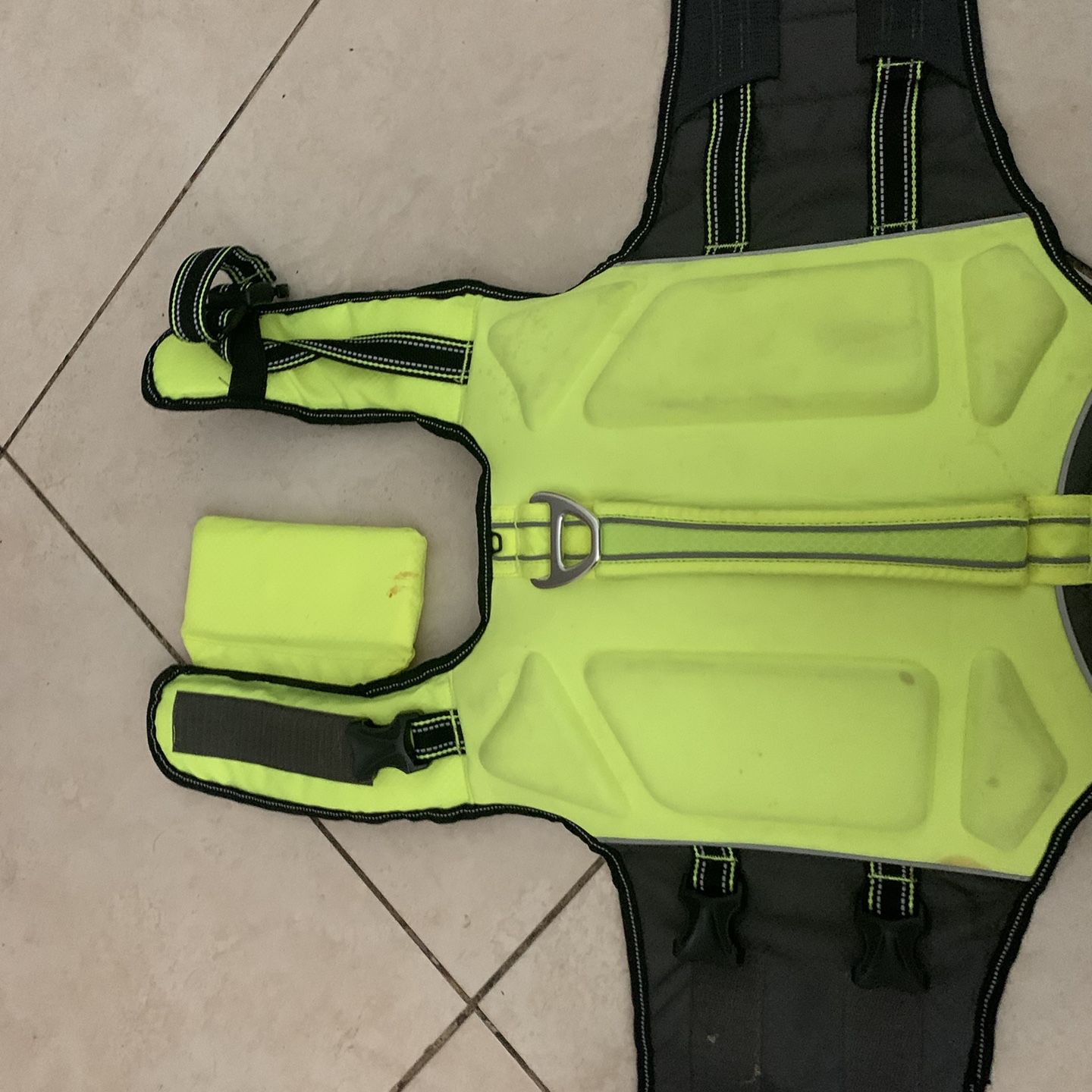 Large High Visibility Life Vest For Dogs 