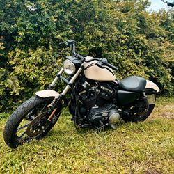 Harley davidson Sportster 883 