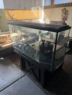 Large Glass Aquarium Tank with Filter