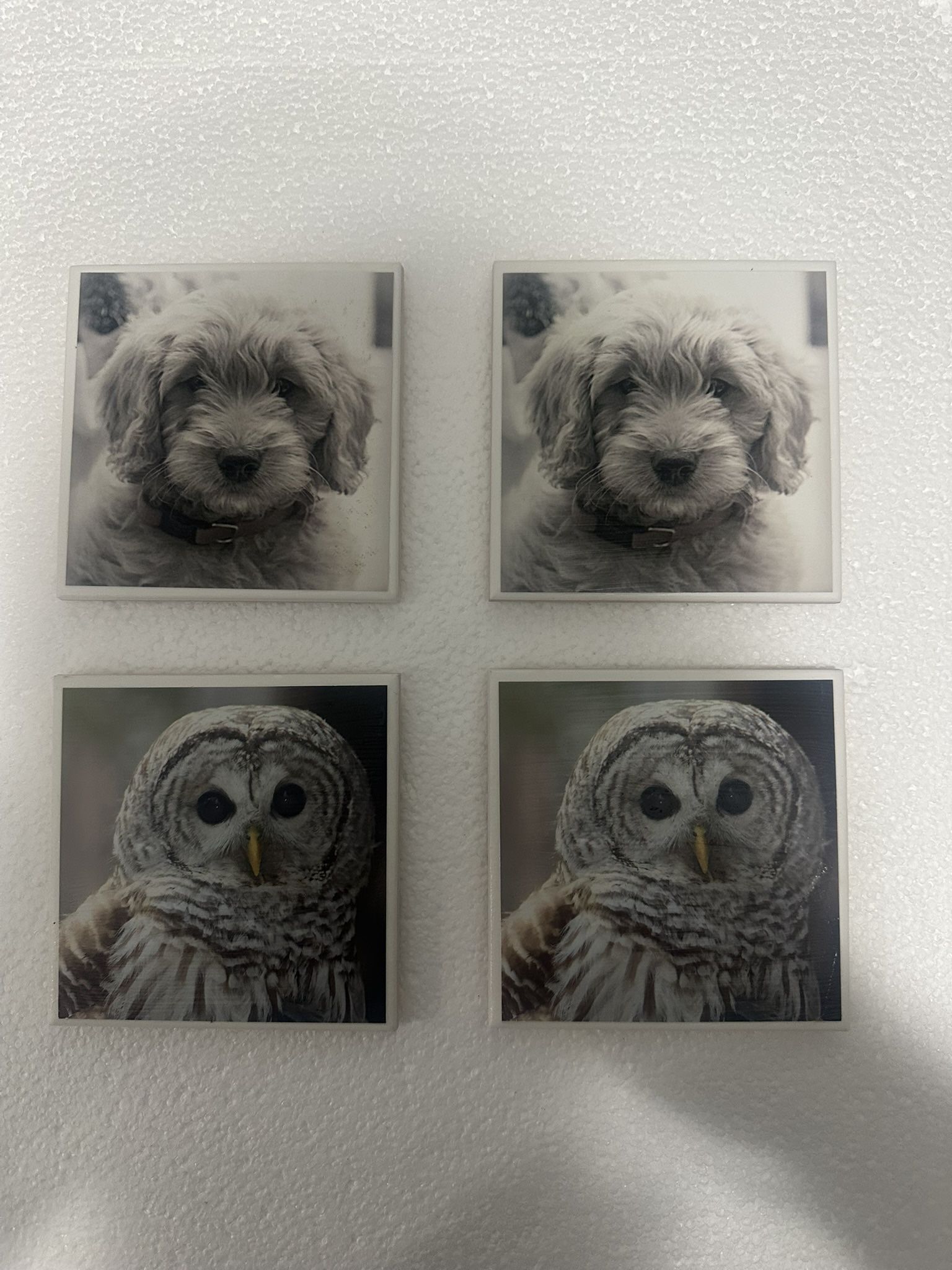 Set of four coasters featuring images of a barred owl and a goldendoodle puppy