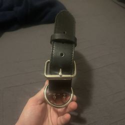 Large Dog Collar 