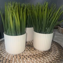 Table Centerpieces 