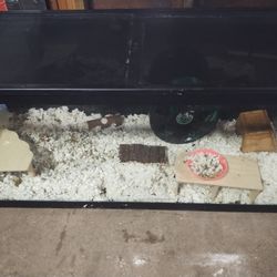Animal Cage Or Hundred Gallons Fishing Tank 