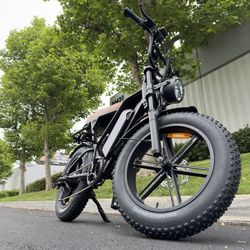Electric Bike