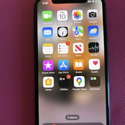 iPhone X