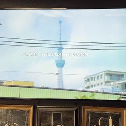 Vizio 55” Flat Screen Tv With Mount