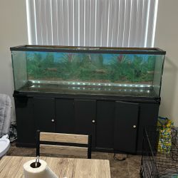 150 Gallons Fish Tank Need Gone Today