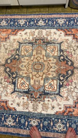 Rocy Julin Area Rug 10$ or best offer. 83 inches x  59 inches a