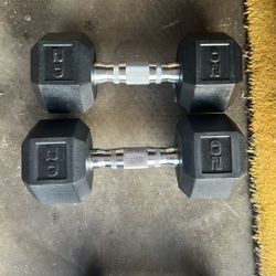 20 Lb Dumbbell Set