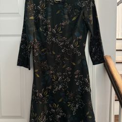 Banana Republic Dress Size 2