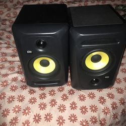 Home Studio Speaker 