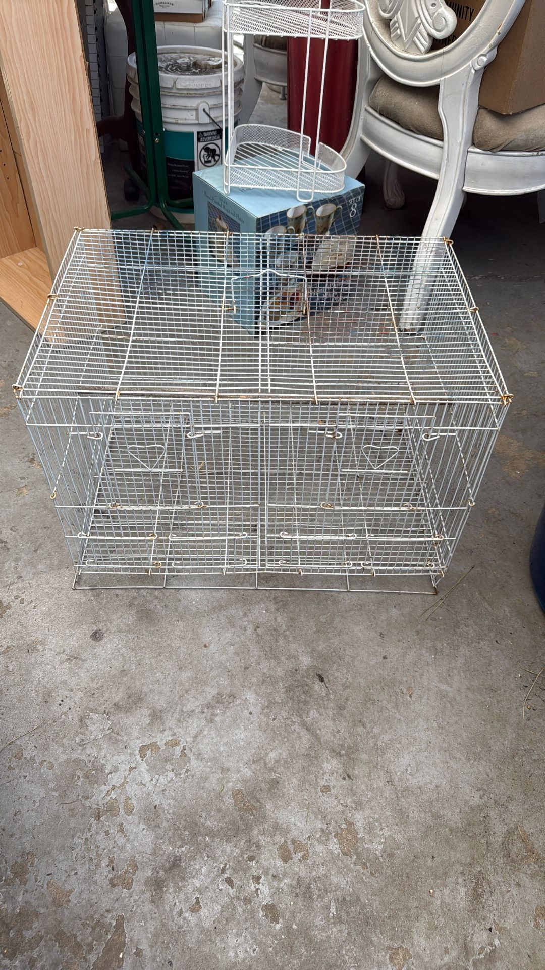 Bird Cage