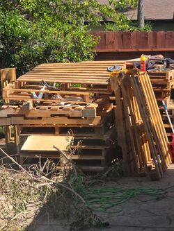 Free  wood Palets