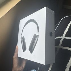 Apple Headphones 