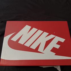 Summit White Malachite Dunks Size 10 1/2